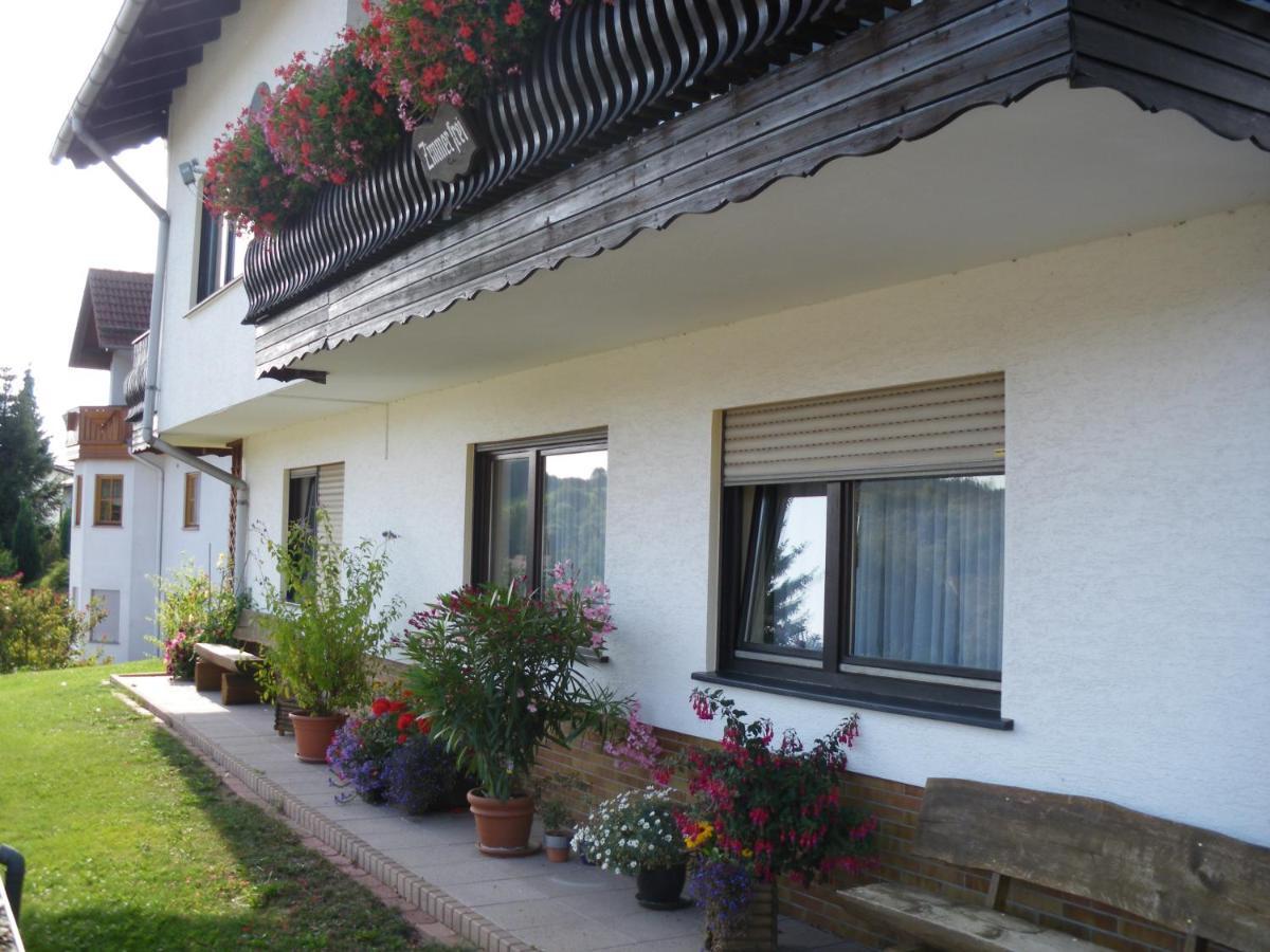 Pension Haus Ludwig Schotten Exterior photo